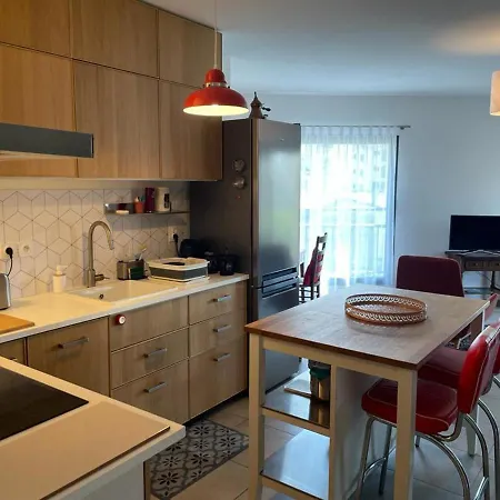Studio Aix-Les-Bains, 1 Piece, 2 Personnes - Fr-1-617-56